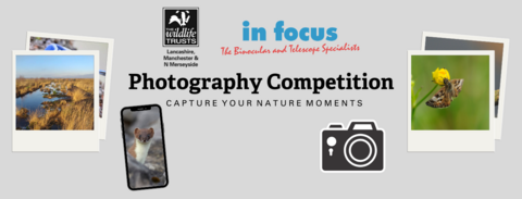 New photo comp banner