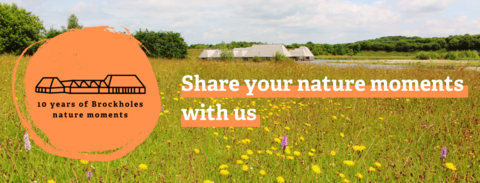 Brockholes share your nature moments banner