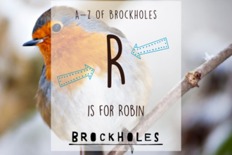 R is for... Robin 