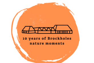 Brockholes 10th birthday logo