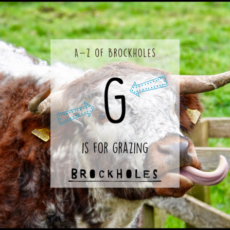 G is for Grazing