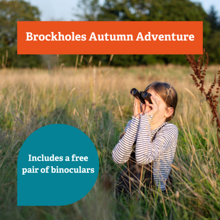 Brockholes Autumn Adventurer 