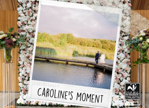 Caroline's Moment