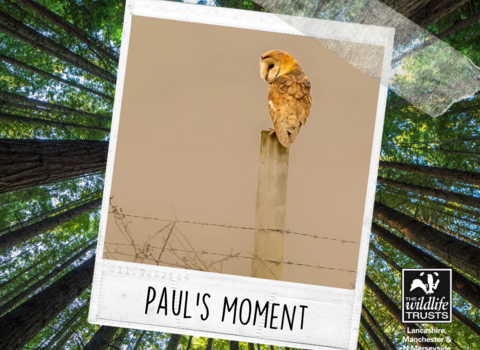 Paul's Moment