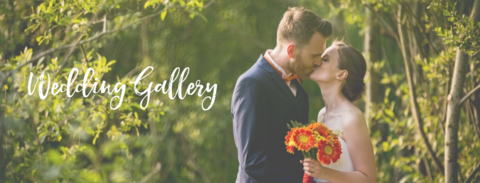 Wedding Gallery Banner