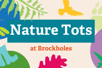 nature tots at Brockholes