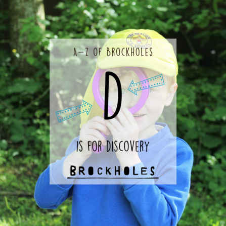 D is for Discovery