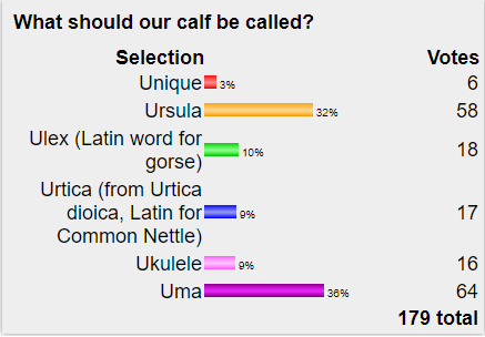 Calf poll results